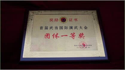 The first wudang international arms drill assembly group first prize