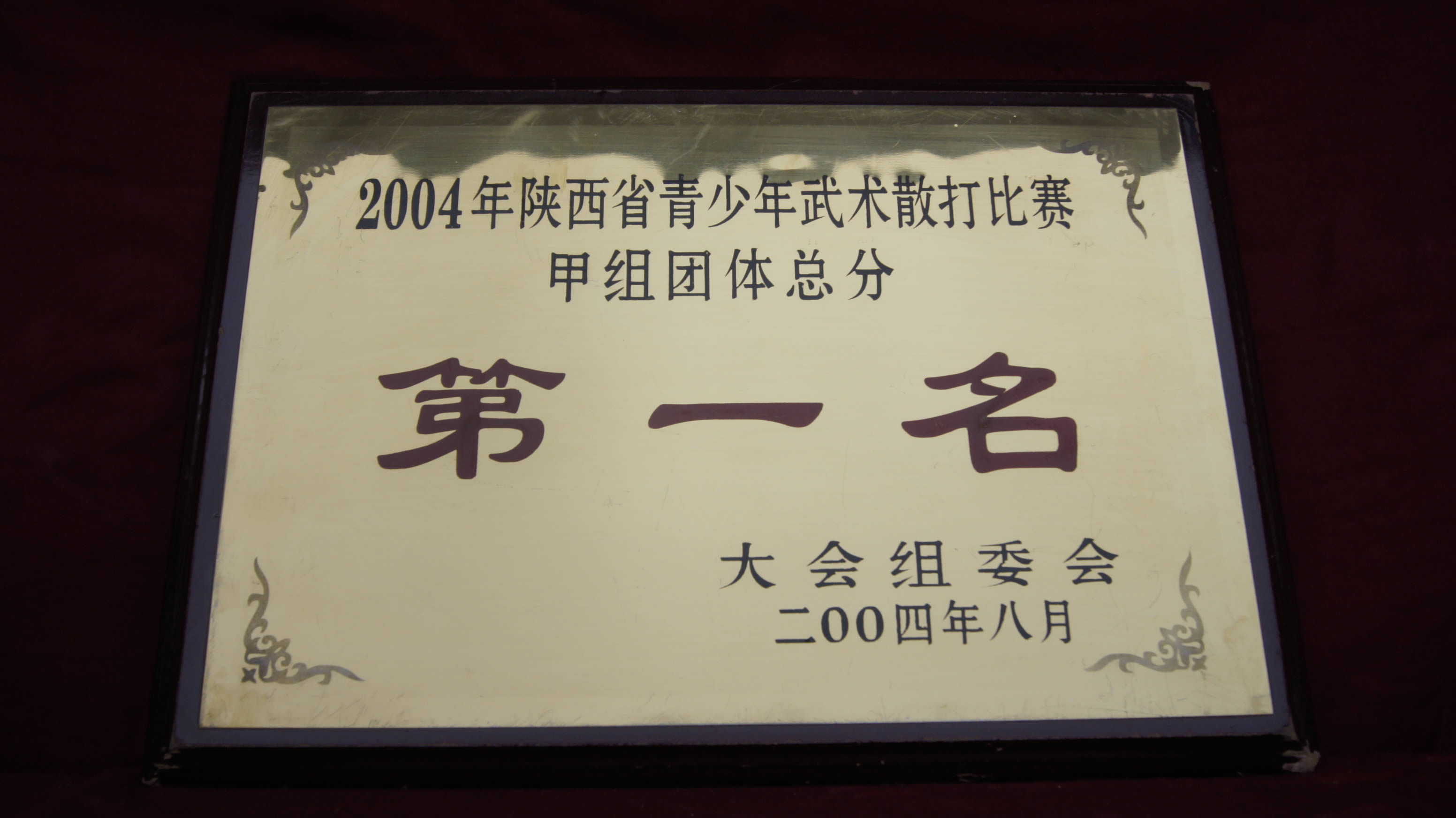 Shaanxi province in 2004 ncaa youth sanshou competition's group total score first